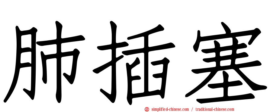 肺插塞