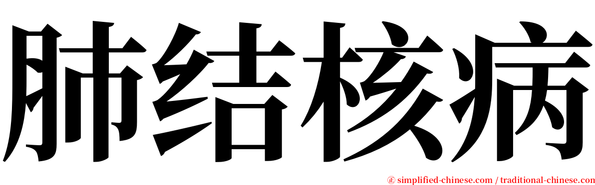肺结核病 serif font