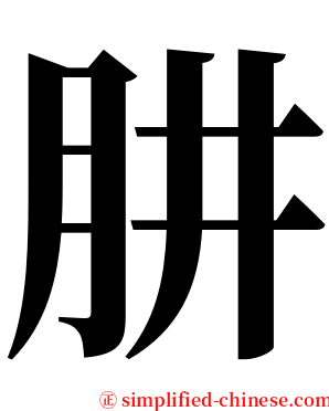 肼 serif font
