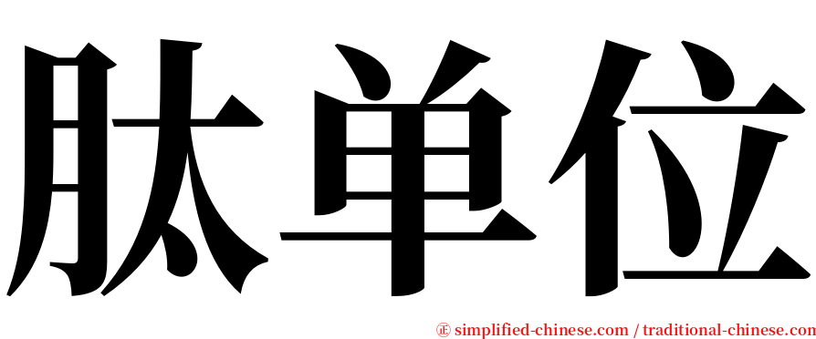 肽单位 serif font