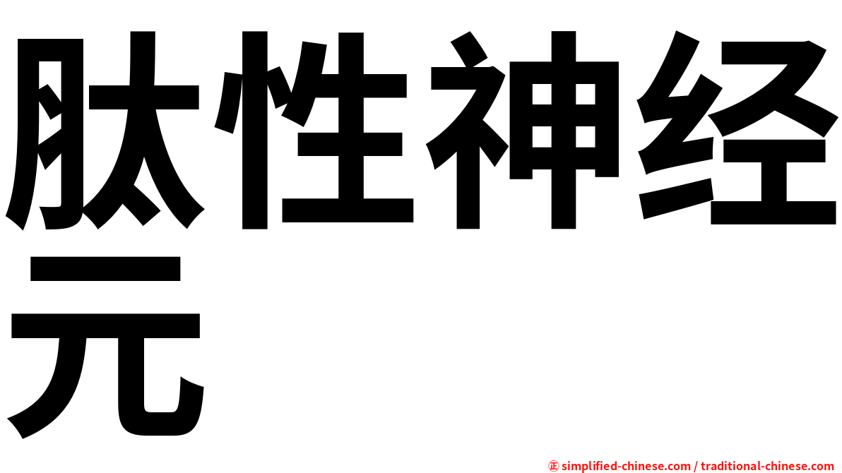 肽性神经元
