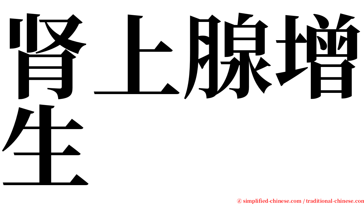 肾上腺增生 serif font