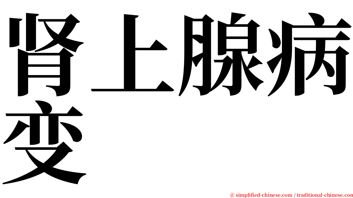 肾上腺病变 serif font