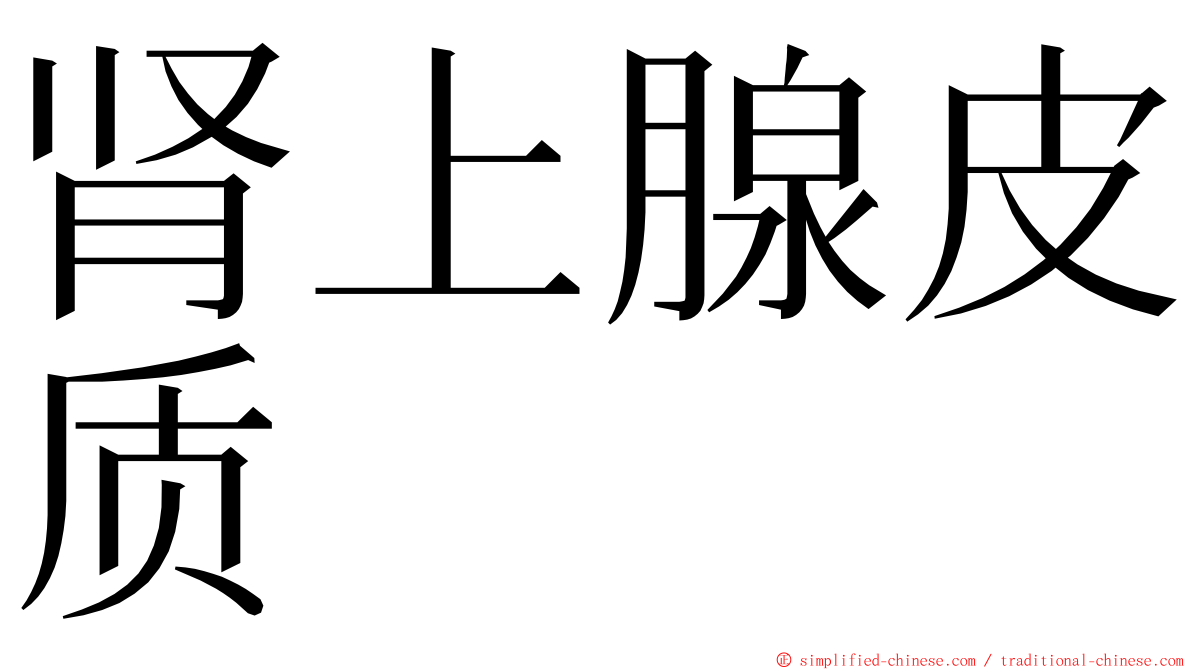 肾上腺皮质 ming font