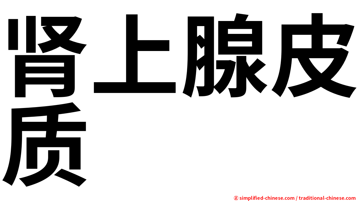 肾上腺皮质