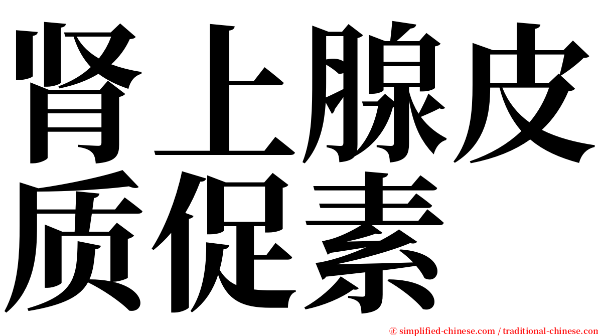 肾上腺皮质促素 serif font