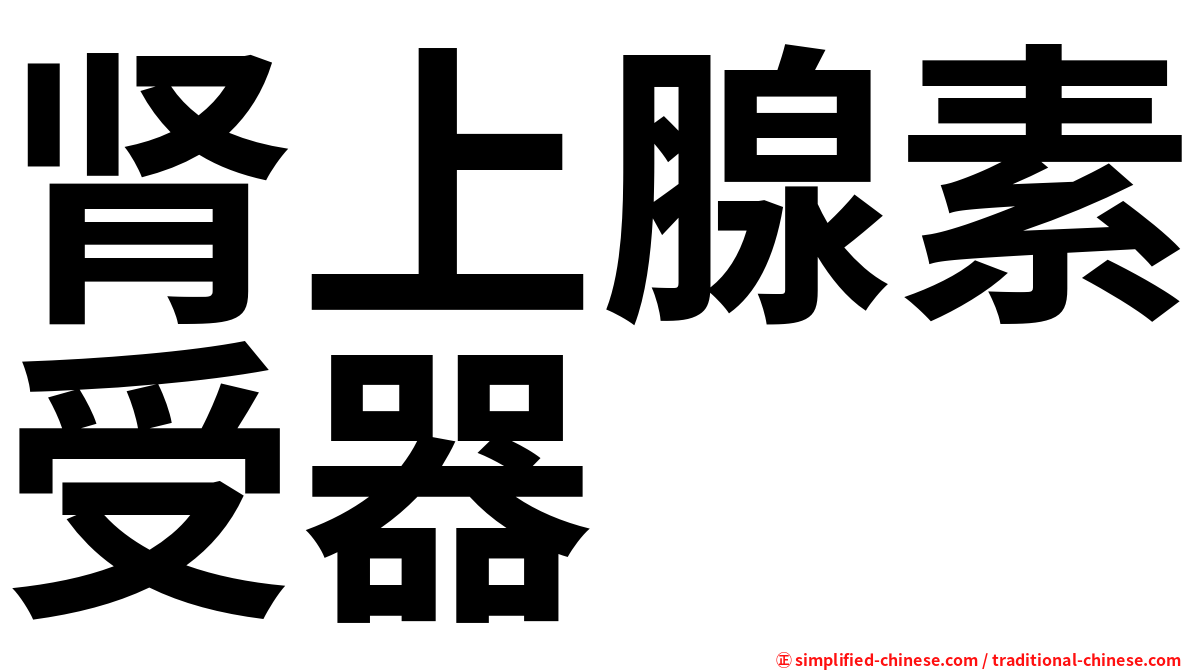 肾上腺素受器