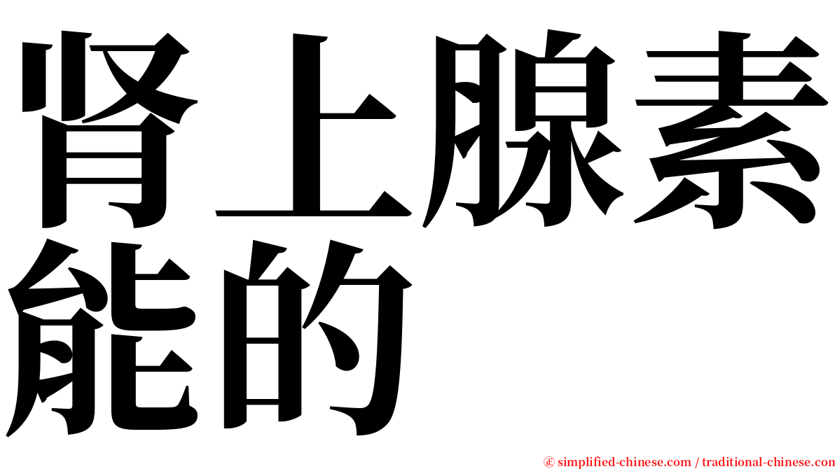 肾上腺素能的 serif font