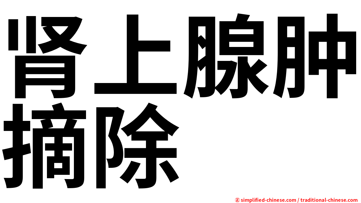 肾上腺肿摘除