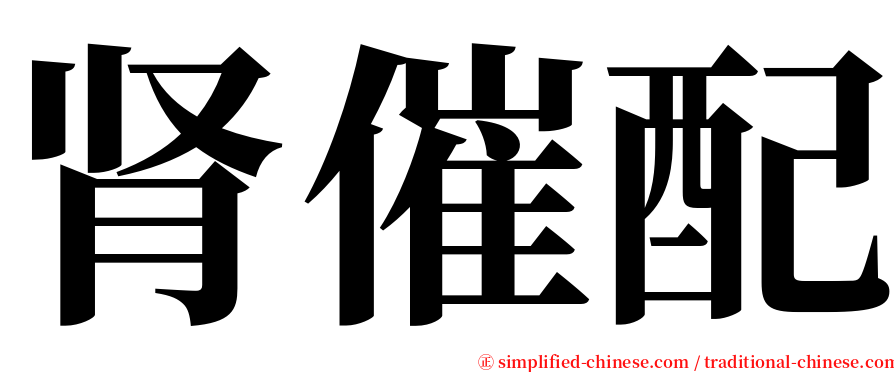 肾催配 serif font