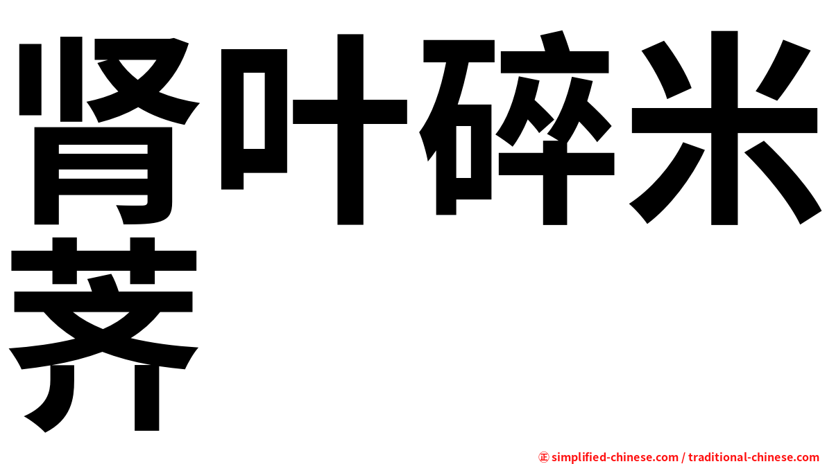 肾叶碎米荠