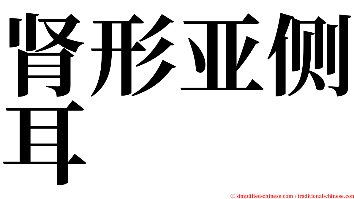 肾形亚侧耳 serif font