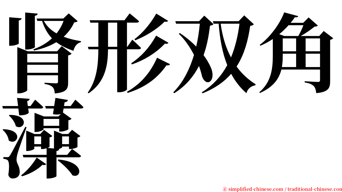 肾形双角藻 serif font