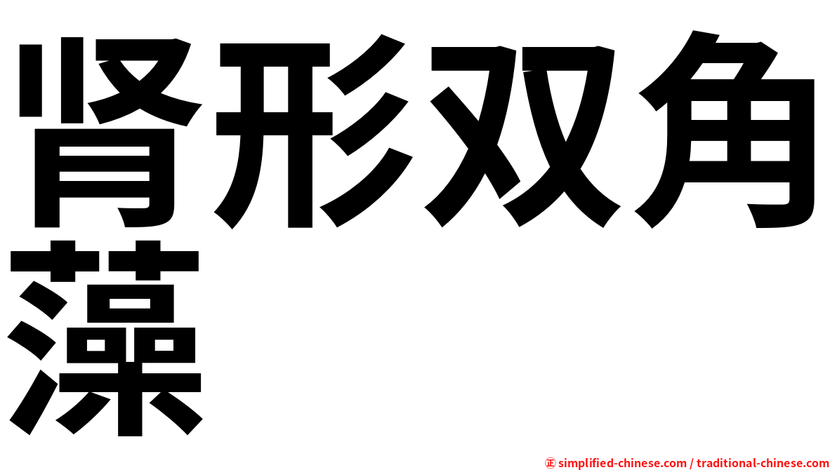 肾形双角藻