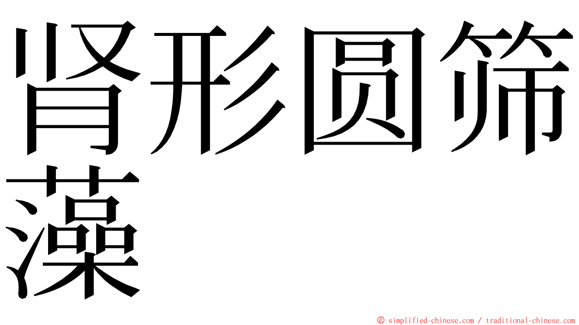 肾形圆筛藻 ming font