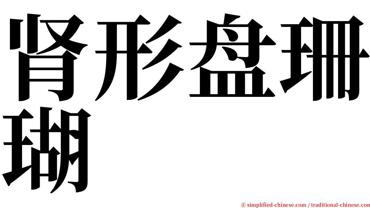肾形盘珊瑚 serif font
