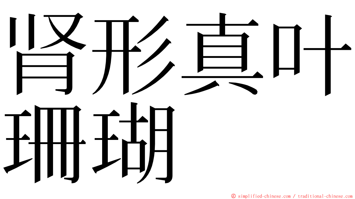 肾形真叶珊瑚 ming font