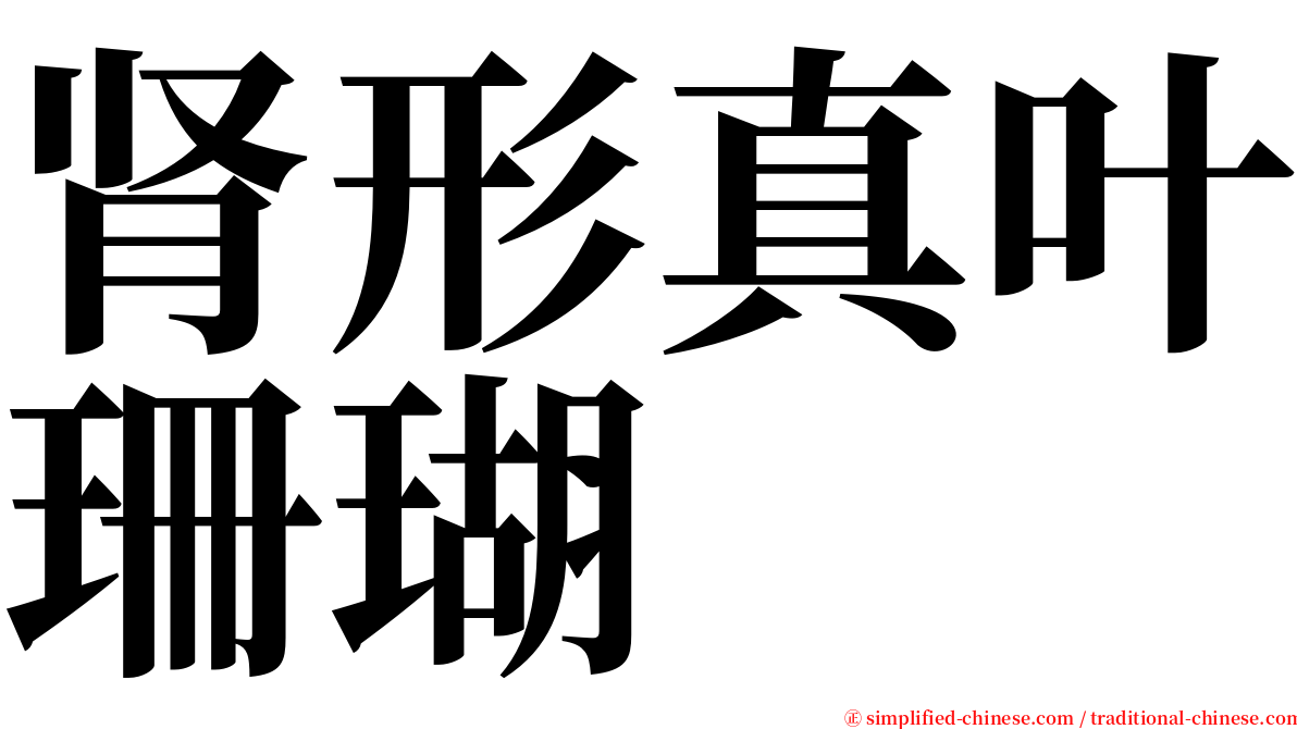 肾形真叶珊瑚 serif font