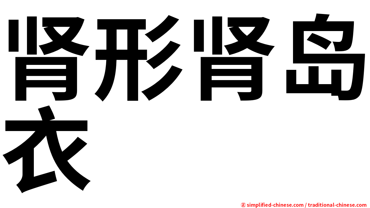 肾形肾岛衣