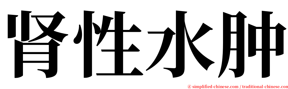 肾性水肿 serif font