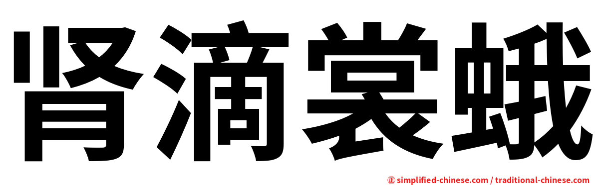 肾滴裳蛾