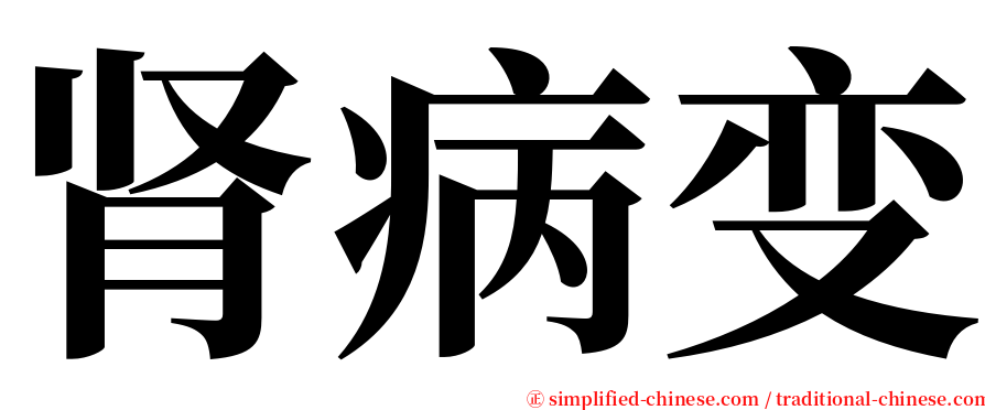 肾病变 serif font