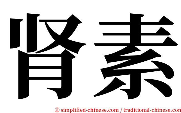 肾素 serif font