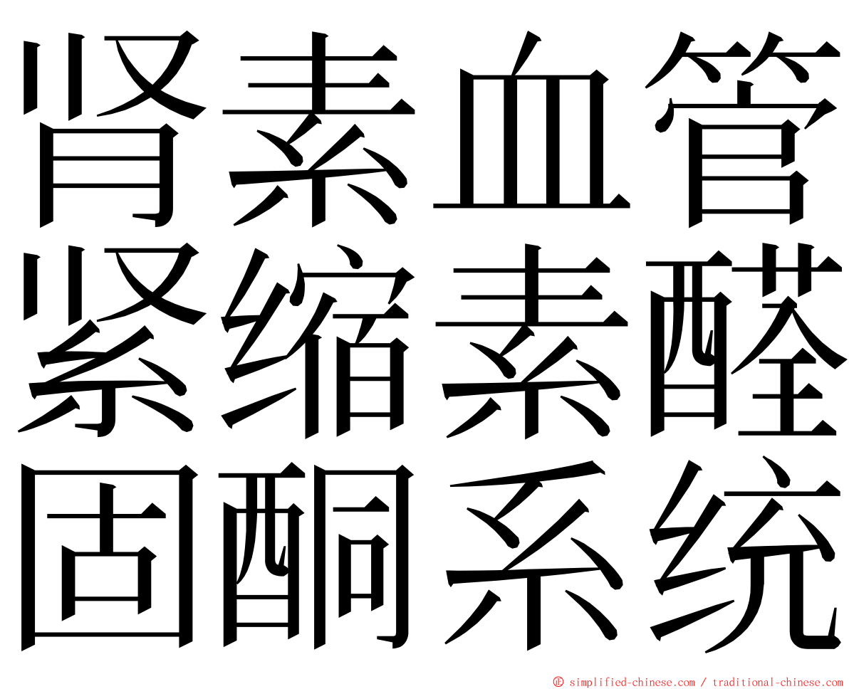 肾素血管紧缩素醛固酮系统 ming font