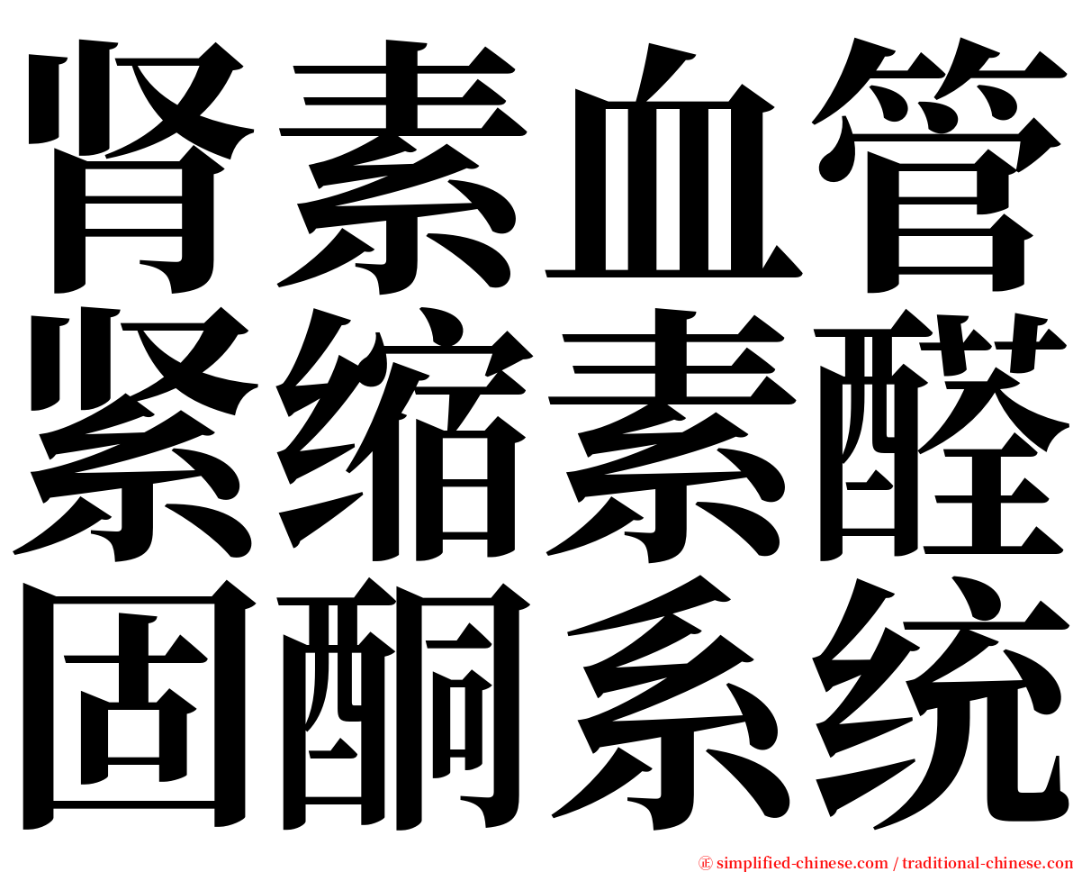 肾素血管紧缩素醛固酮系统 serif font