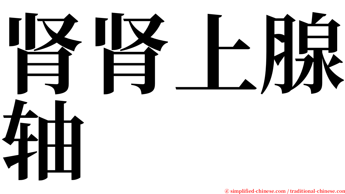 肾肾上腺轴 serif font