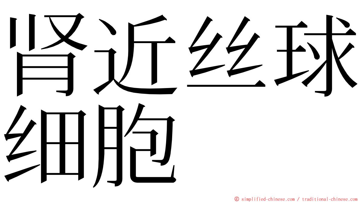 肾近丝球细胞 ming font
