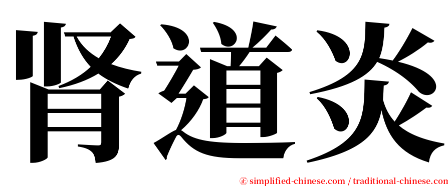 肾道炎 serif font