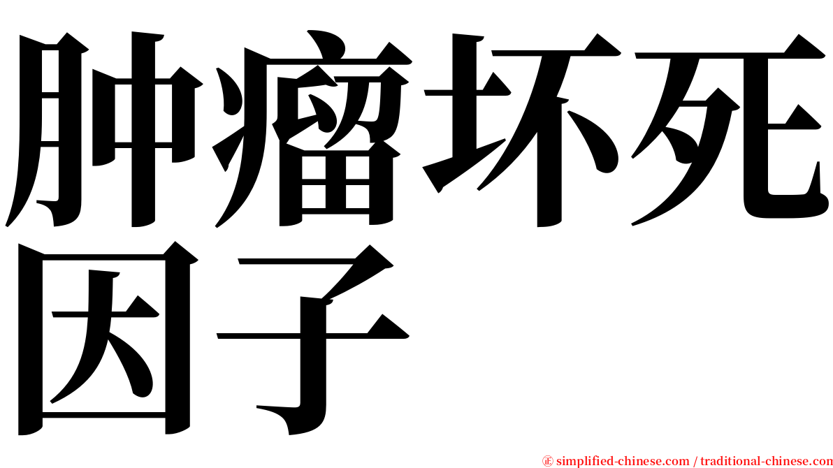 肿瘤坏死因子 serif font