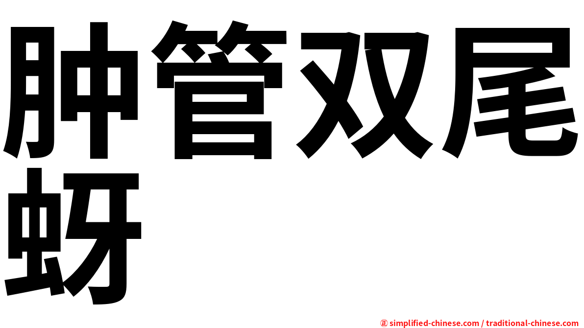 肿管双尾蚜