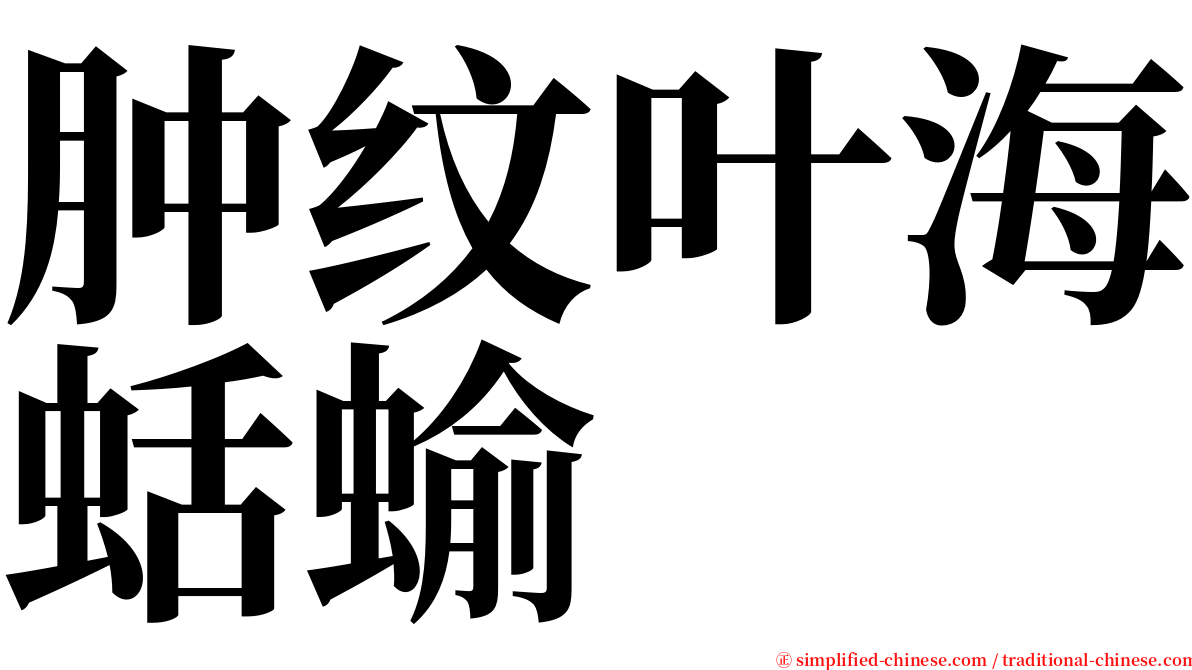 肿纹叶海蛞蝓 serif font