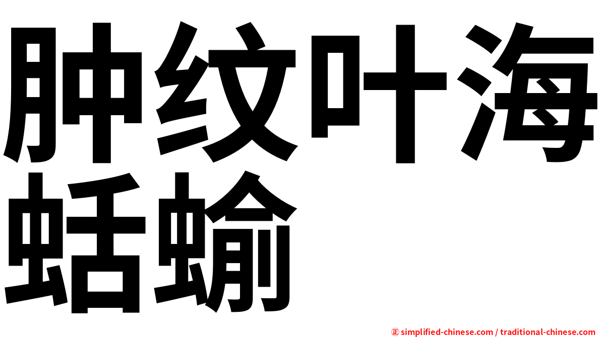 肿纹叶海蛞蝓