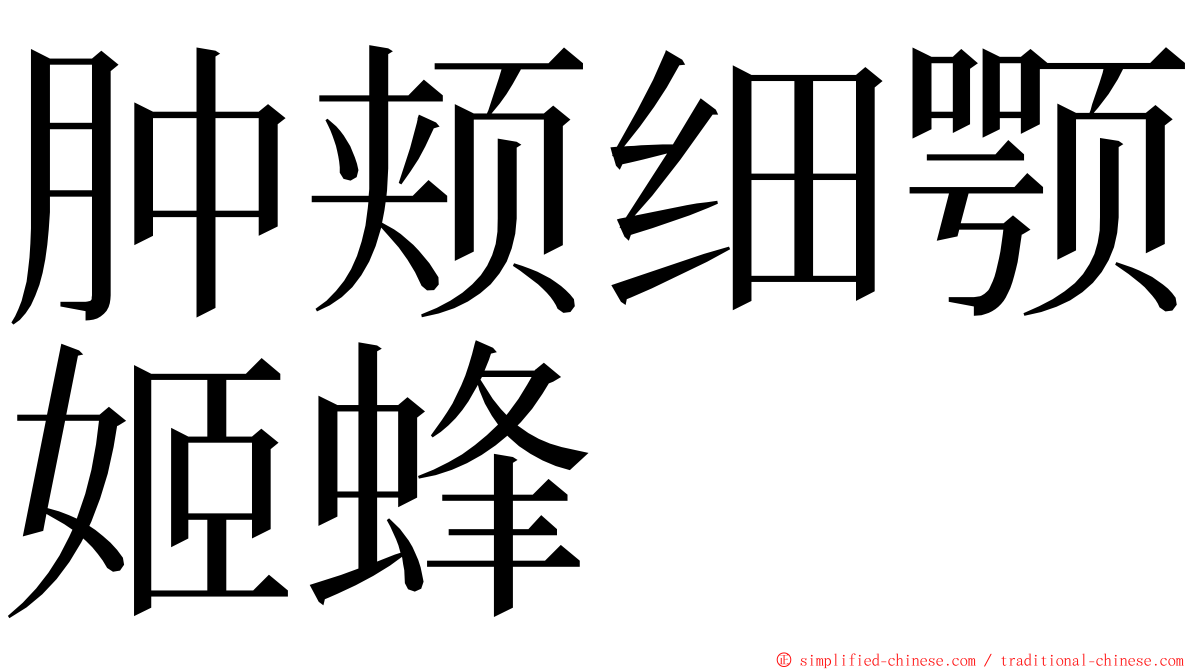 肿颊细颚姬蜂 ming font