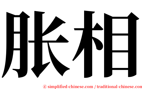 胀相 serif font