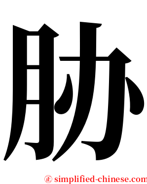 胁 serif font