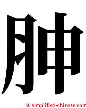 胂 serif font
