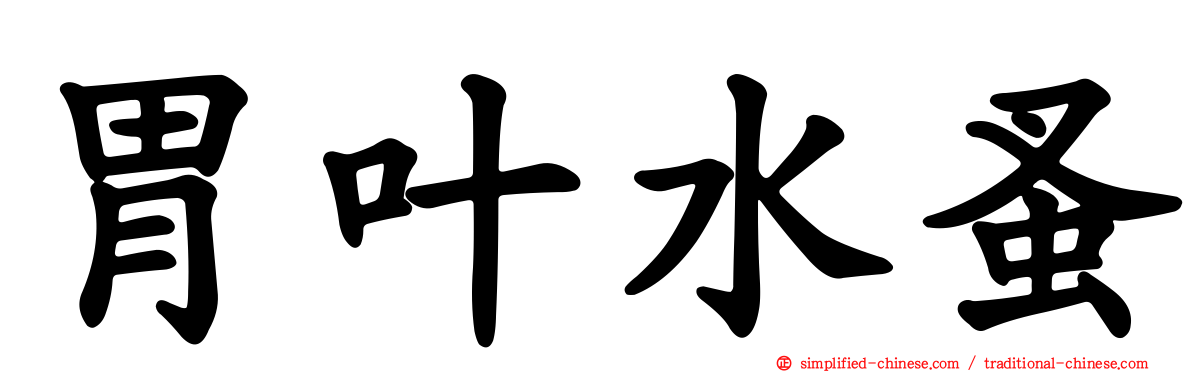胃叶水蚤