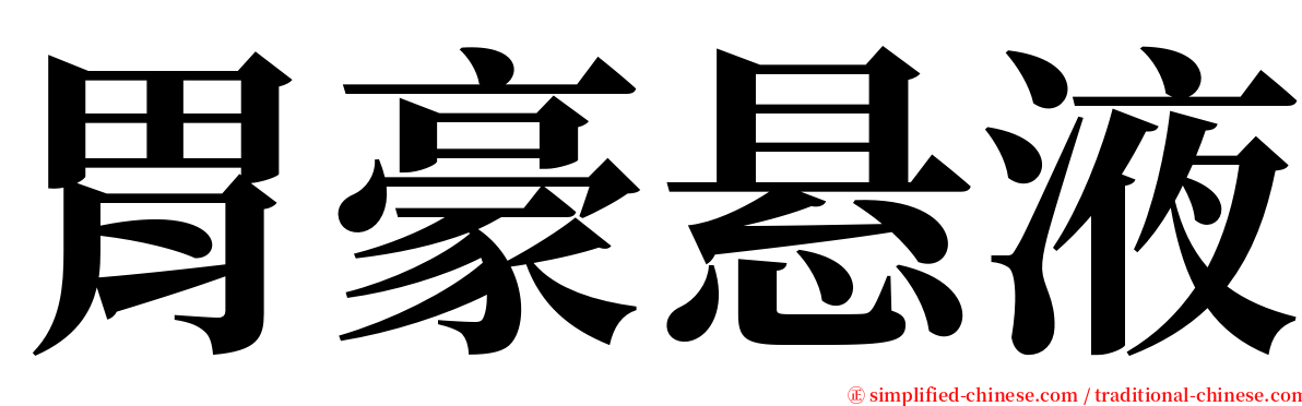 胃豪悬液 serif font