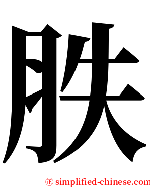胅 serif font