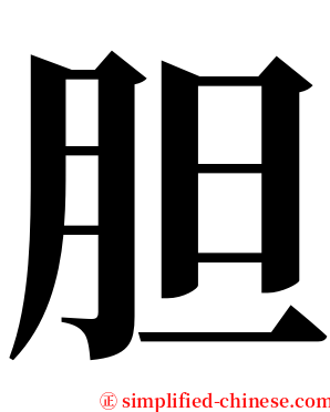 胆 serif font