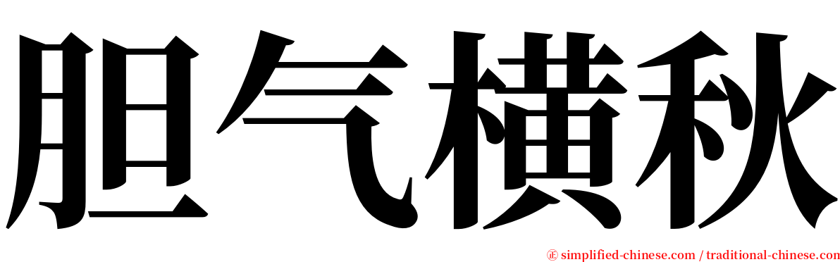 胆气横秋 serif font