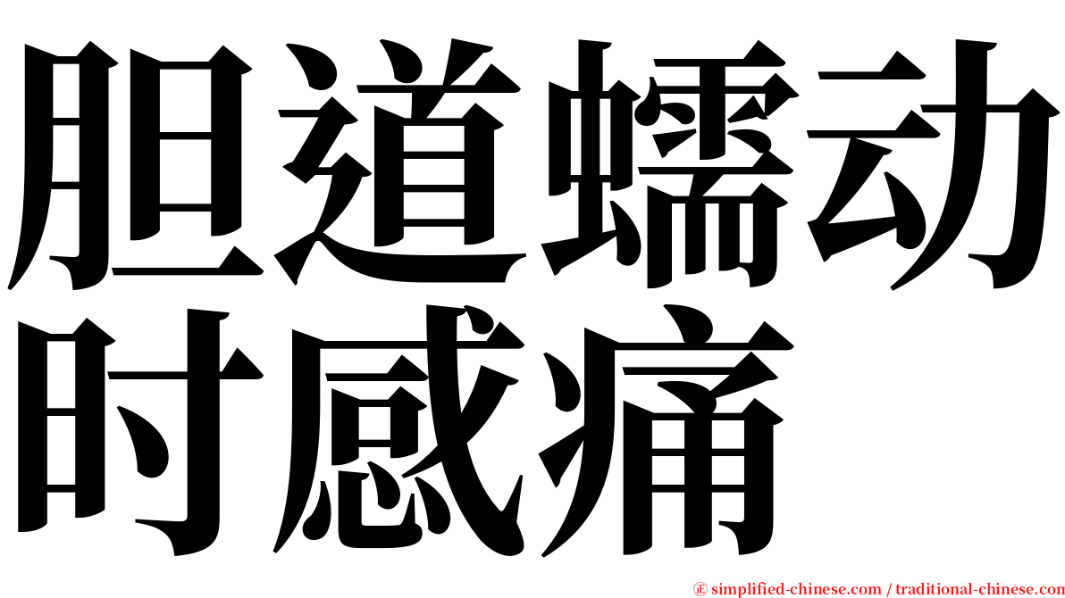 胆道蠕动时感痛 serif font