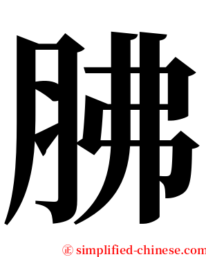 胇 serif font