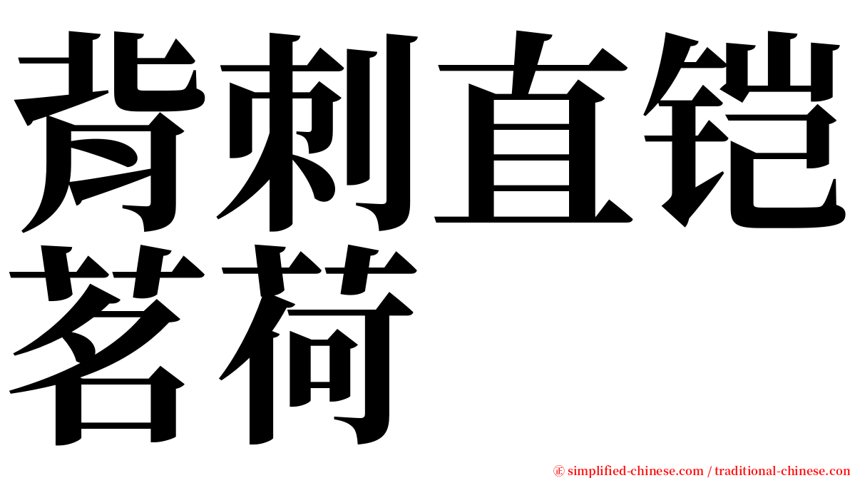 背刺直铠茗荷 serif font