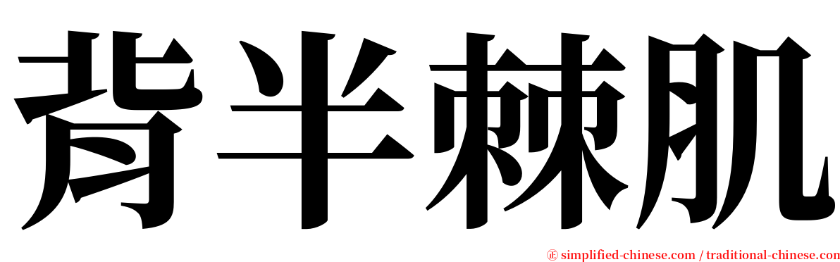 背半棘肌 serif font