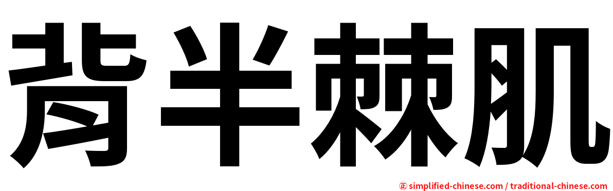 背半棘肌